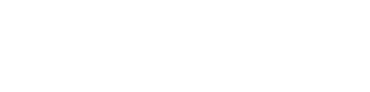 Swiss Neurovisual
