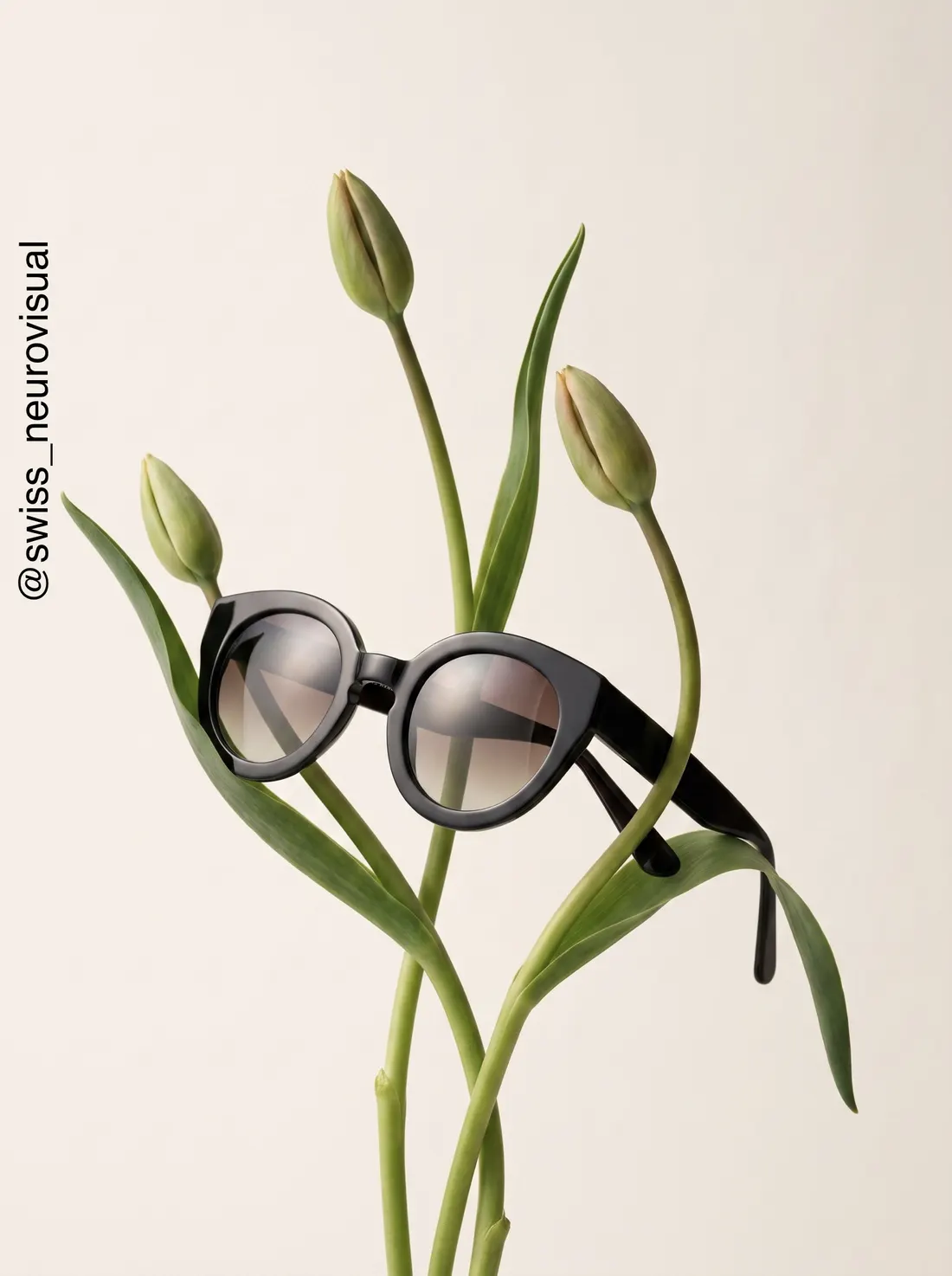 AI photography — eyewear on tulip stems